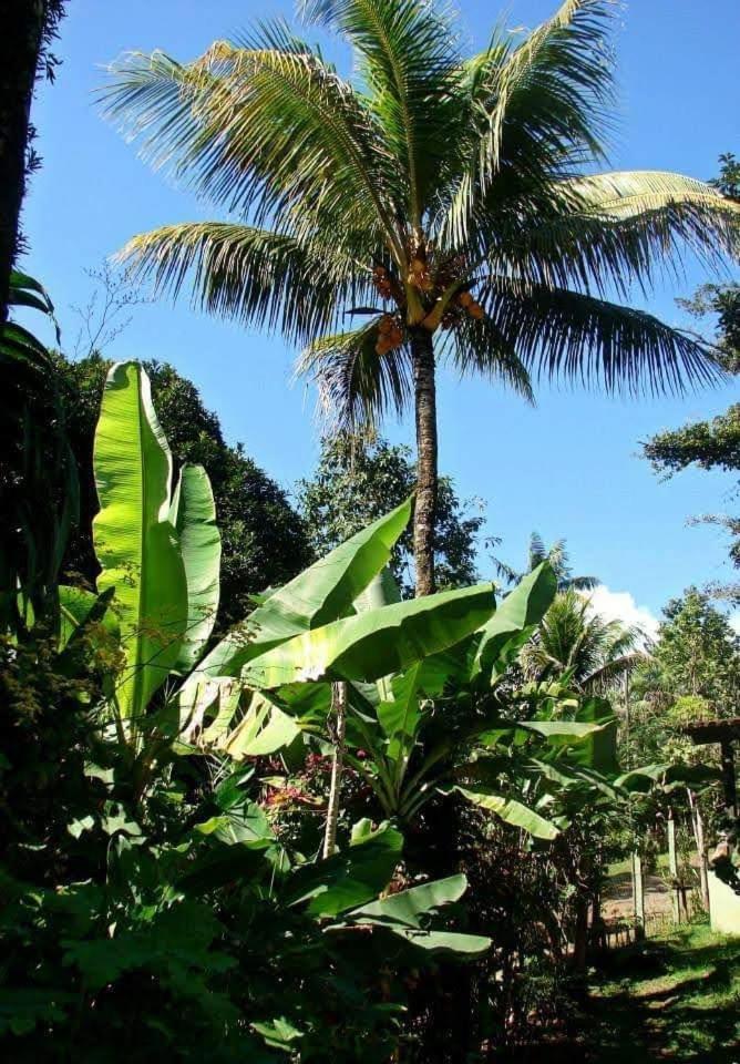 Pousada Villa Da Gama Paraty Quarto foto