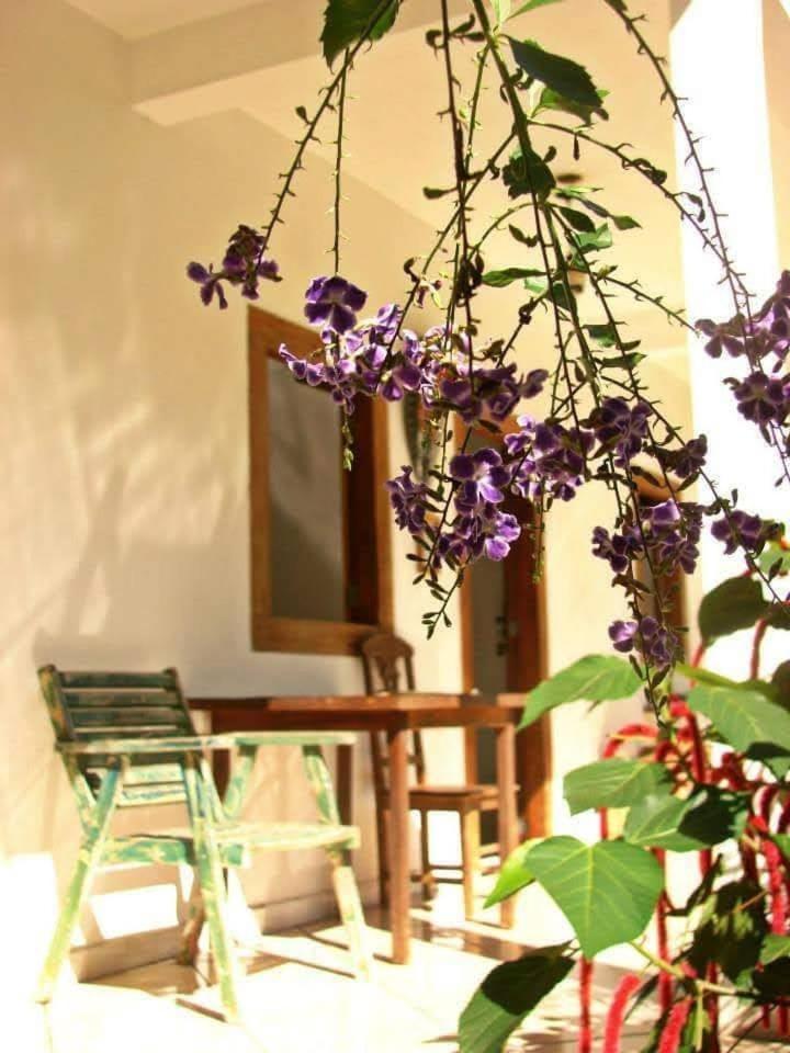 Pousada Villa Da Gama Paraty Quarto foto