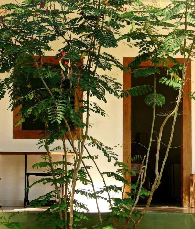 Pousada Villa Da Gama Paraty Quarto foto